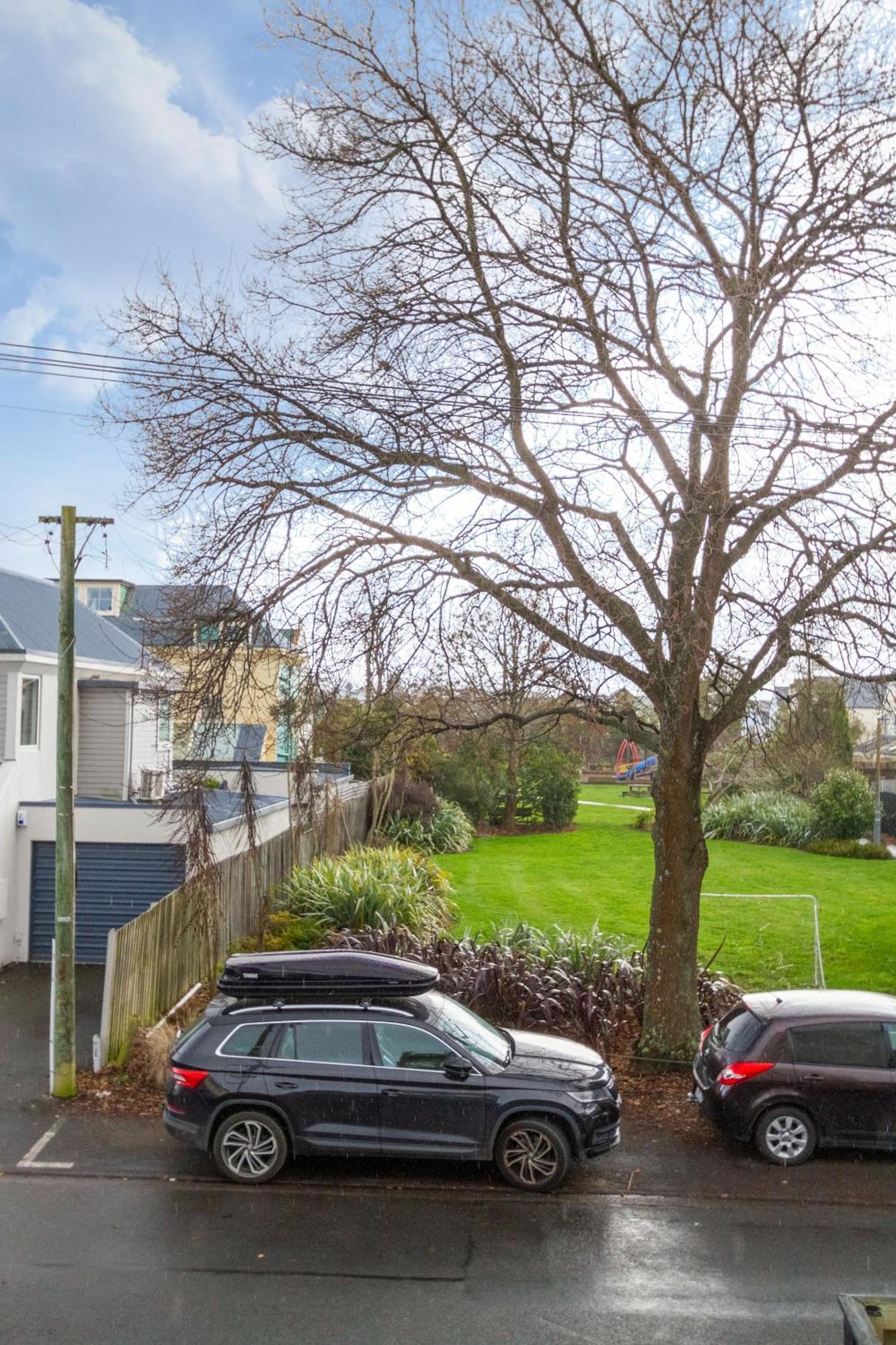 Warm Chch Apartment Park View & Garage Parking Christchurch Dış mekan fotoğraf